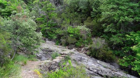 Au virage de la combe de Vermale.