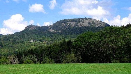 Suc de la Tortue, Tête à gauche et dos à droite.