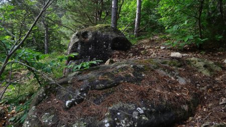 Blocs de grès.