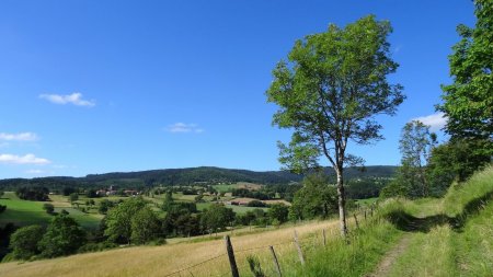 Vers Lérigneux et le Cheix des Lunes.