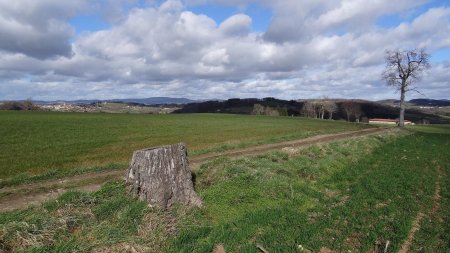 Vers le mont Boussuivre.