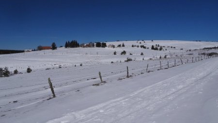 La piste pastorale au pied des Jasseries de la Fayolle.