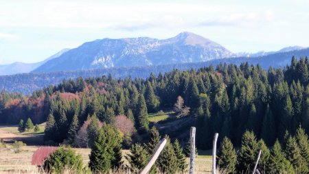 Dent de Rossanaz, Colombier