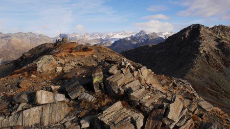 Crête sommitale du Monte Belvedere.