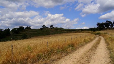 Arrivée sur le plateau de Mons.