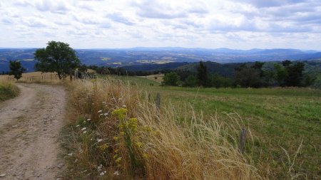 Volcans du Velay.