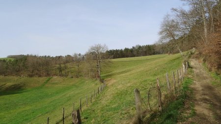 Vallon du Bilaize.