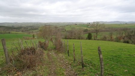 Vallon de l’Arbiche. Chazelles-sur-Lyon sur la colline en face.