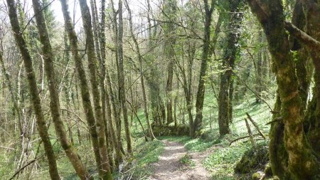 Sentier de la Combe Rey