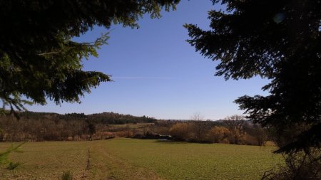 Bois et prairies.