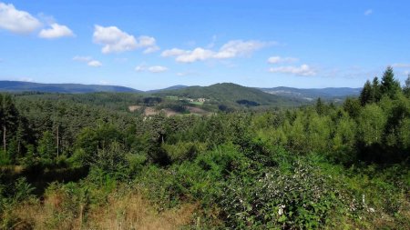 Mont Terreneyre, entre Viverols et Églisolles.