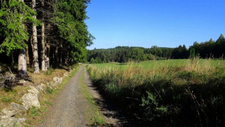 Entre bois et clairières.