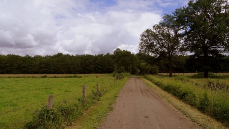 Vers le Bois de Sury.