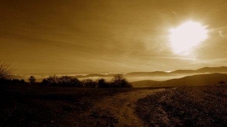 Pilat à contre-jour.