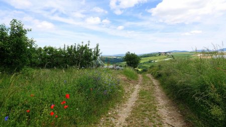 Dans le rétro en montant vers les hameaux