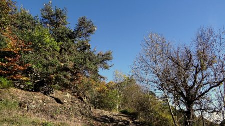 Chaude remontée en adret.