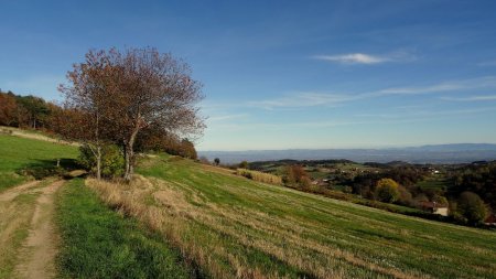 Dans le rétro.