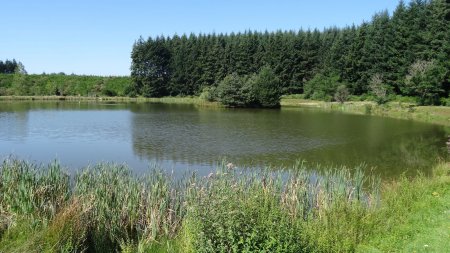 Le Lac de Saint-Cyr.