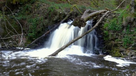 Sente parallèle au chemin balisé.