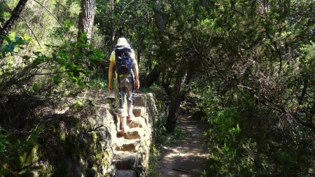 Petits escalier pour franchir les murets.