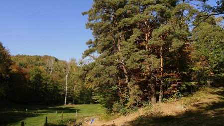 Dans le vallon, prendre à gauche.