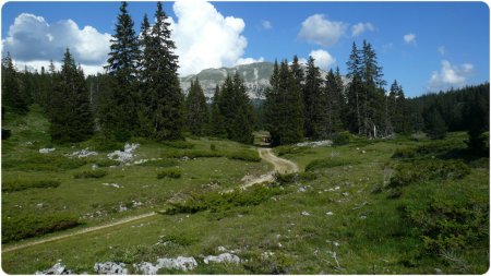 Regard arrière de la prairie de Pichet.