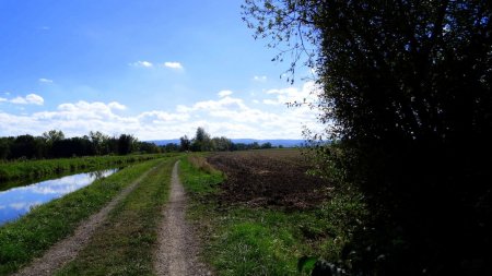 Canal du Forez