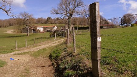 Sous la ferme des Fayes.