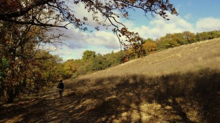 Vallon aux vignes abandonnées