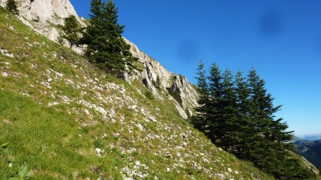 Dans le Berceau magnifique : vue vers la droite, dans le versant nord-est