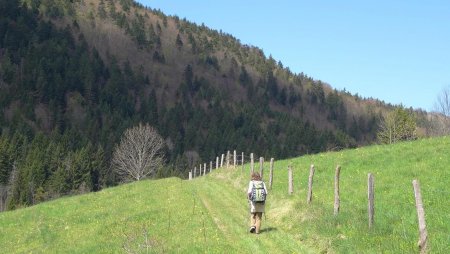 Sur le chemin du col de la Forclaz.