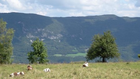 Dans la traversée entre Bezonne et Châtel d’en-Haut. Les prés le long du chemin, avec la montagne du Gros Foug au fond.