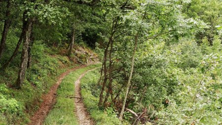 La traversée vers Blinty.