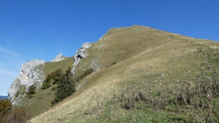 Montée droit dans la pente.