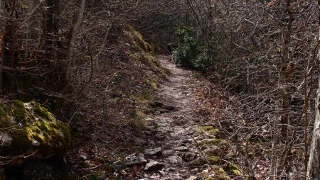 Le sentier vers le pas de l’aï