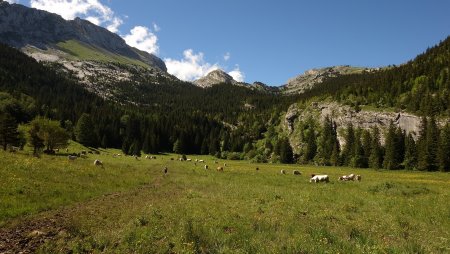 Au vallon de la Fauge.