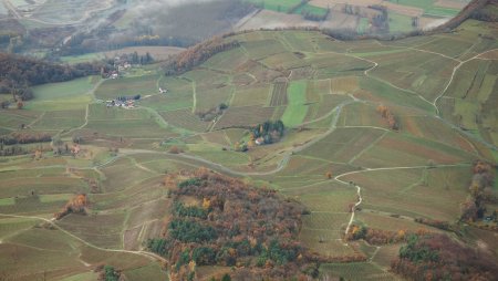 Les pâturages de Jongieux.