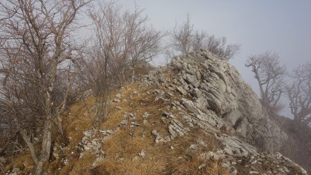 Au Bec de l’Echaillon.