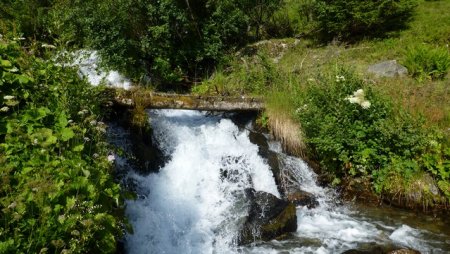 Torrent de la Lescherette