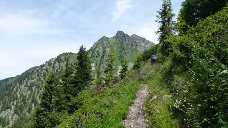 Derrière le Col de Montjoie