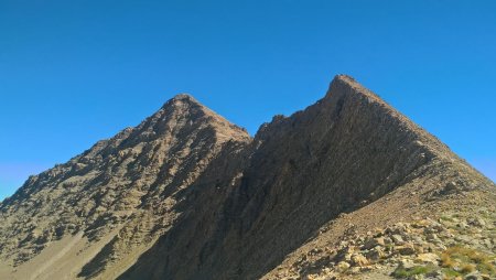 L’arête intégrale et le sommet à gauche