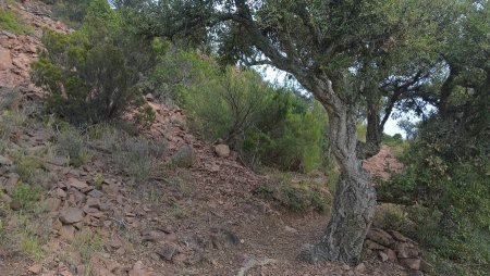 Le moment où l’on quitte le sentier jaune