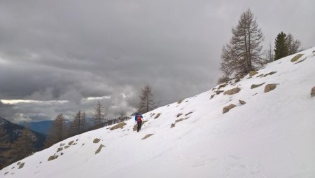 Retour en fôret