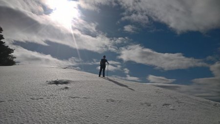 On sort de la forêt