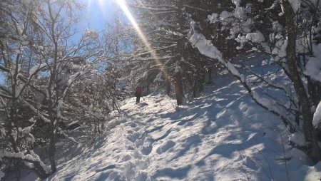 Sur le sentier