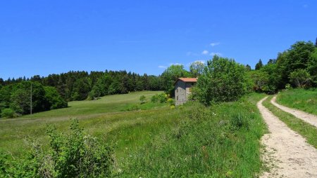 Les Sereines.