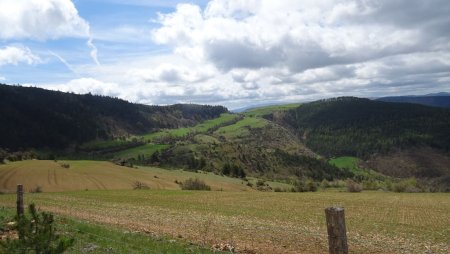 Dans le rétro remontée après Maison Neuve