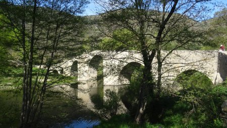 Pont de Quézac (XIVe siècle)