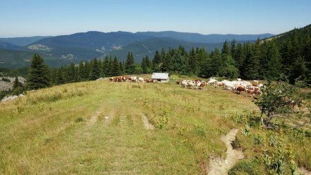 Comité d’accueil en arrivant au Refuge de Roybon