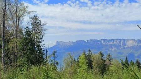 Fenêtre sur Chartreuse.